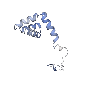 8361_5t5h_m_v1-5
Structure and assembly model for the Trypanosoma cruzi 60S ribosomal subunit