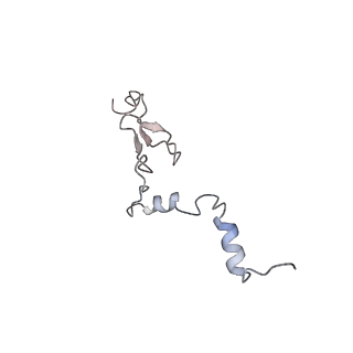 8361_5t5h_n_v1-5
Structure and assembly model for the Trypanosoma cruzi 60S ribosomal subunit