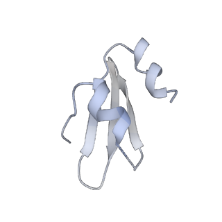 8361_5t5h_p_v1-5
Structure and assembly model for the Trypanosoma cruzi 60S ribosomal subunit