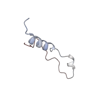 8361_5t5h_q_v1-5
Structure and assembly model for the Trypanosoma cruzi 60S ribosomal subunit