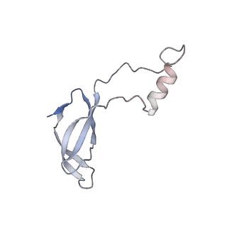 8361_5t5h_t_v1-5
Structure and assembly model for the Trypanosoma cruzi 60S ribosomal subunit