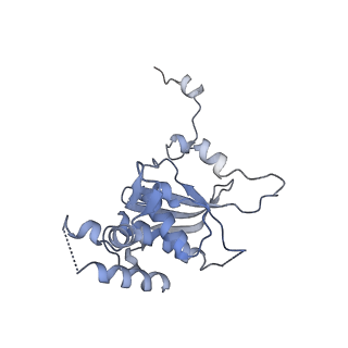 8361_5t5h_u_v1-5
Structure and assembly model for the Trypanosoma cruzi 60S ribosomal subunit