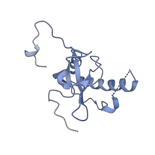 8361_5t5h_v_v1-5
Structure and assembly model for the Trypanosoma cruzi 60S ribosomal subunit