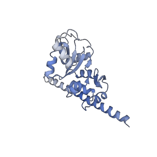 8361_5t5h_w_v1-5
Structure and assembly model for the Trypanosoma cruzi 60S ribosomal subunit