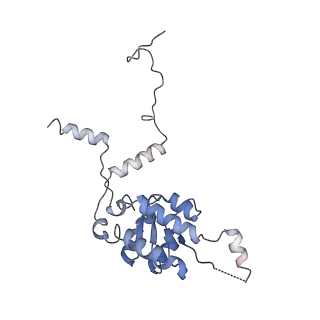 8361_5t5h_x_v1-5
Structure and assembly model for the Trypanosoma cruzi 60S ribosomal subunit