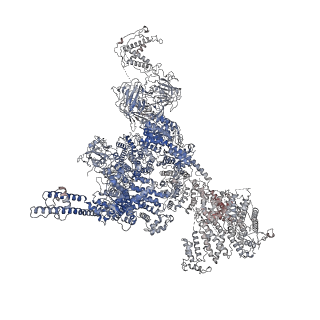 25709_7t64_A_v1-2
Rabbit RyR1 disease mutant Y523S in complex with FKBP12.6 embedded in lipidic nanodisc in the closed state