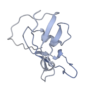 25709_7t64_F_v1-2
Rabbit RyR1 disease mutant Y523S in complex with FKBP12.6 embedded in lipidic nanodisc in the closed state