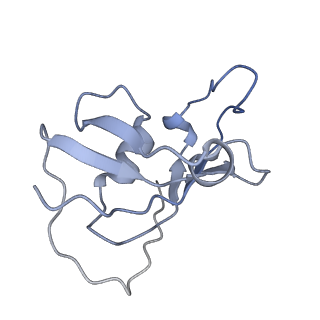 25709_7t64_G_v1-2
Rabbit RyR1 disease mutant Y523S in complex with FKBP12.6 embedded in lipidic nanodisc in the closed state