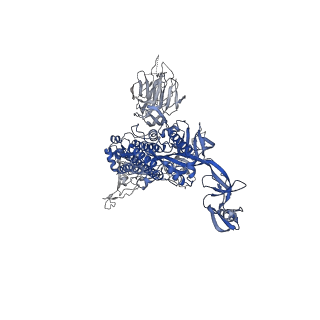 25711_7t67_C_v1-1
SARS-CoV-2 S (Spike Glycoprotein) D614G with One(1) RBD Up