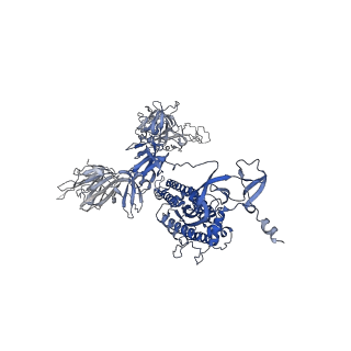25711_7t67_G_v1-1
SARS-CoV-2 S (Spike Glycoprotein) D614G with One(1) RBD Up