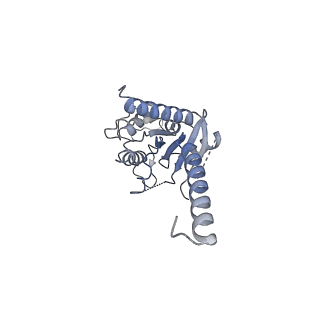 25712_7t6b_A_v1-1
Structure of S1PR2-heterotrimeric G13 signaling complex
