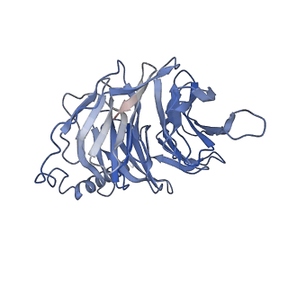25712_7t6b_C_v1-1
Structure of S1PR2-heterotrimeric G13 signaling complex