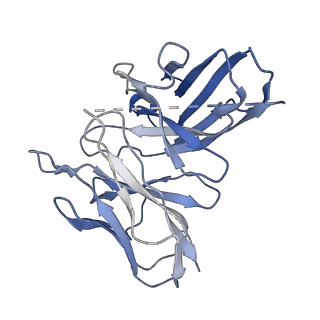 25712_7t6b_E_v1-1
Structure of S1PR2-heterotrimeric G13 signaling complex