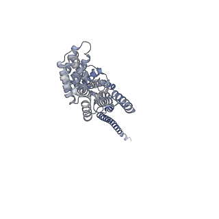 25713_7t6d_A_v1-0
CryoEM structure of the YejM/LapB complex