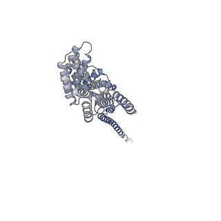 25713_7t6d_A_v1-1
CryoEM structure of the YejM/LapB complex