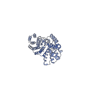 25713_7t6d_B_v1-0
CryoEM structure of the YejM/LapB complex