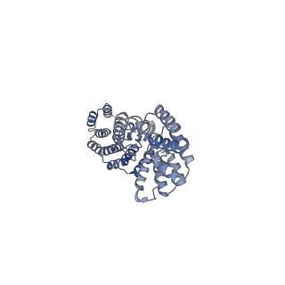 25713_7t6d_B_v1-1
CryoEM structure of the YejM/LapB complex