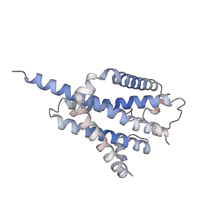 25713_7t6d_C_v1-1
CryoEM structure of the YejM/LapB complex