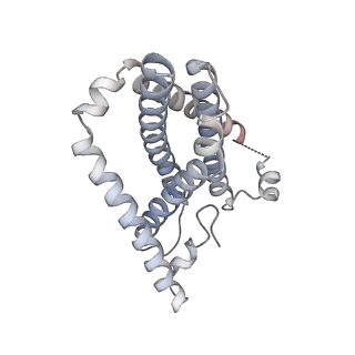 25713_7t6d_D_v1-1
CryoEM structure of the YejM/LapB complex