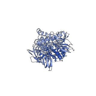 25715_7t6f_B_v1-3
Structure of active Janus Kinase (JAK) dimer complexed with cytokine receptor intracellular domain