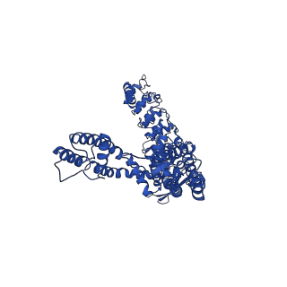 25716_7t6j_A_v1-1
Cryo-EM structure of TRPV5 at pH8 in nanodiscs
