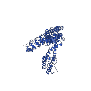 25716_7t6j_B_v1-1
Cryo-EM structure of TRPV5 at pH8 in nanodiscs