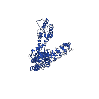 25716_7t6j_C_v1-1
Cryo-EM structure of TRPV5 at pH8 in nanodiscs