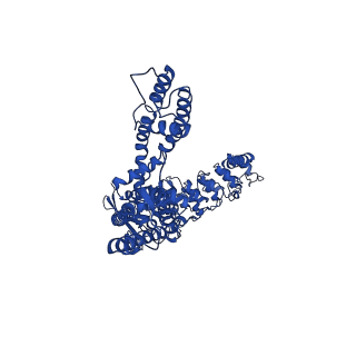 25716_7t6j_C_v1-2
Cryo-EM structure of TRPV5 at pH8 in nanodiscs