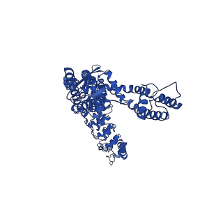 25716_7t6j_D_v1-1
Cryo-EM structure of TRPV5 at pH8 in nanodiscs