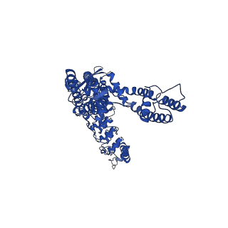 25716_7t6j_D_v1-2
Cryo-EM structure of TRPV5 at pH8 in nanodiscs