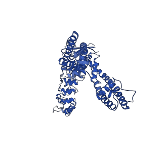 25717_7t6k_A_v1-1
Cryo-EM structure of TRPV5 at pH6 in nanodiscs