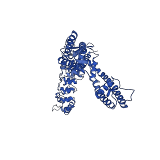 25717_7t6k_A_v1-2
Cryo-EM structure of TRPV5 at pH6 in nanodiscs