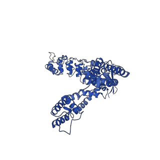 25717_7t6k_C_v1-1
Cryo-EM structure of TRPV5 at pH6 in nanodiscs