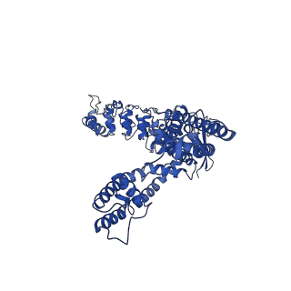 25717_7t6k_C_v1-2
Cryo-EM structure of TRPV5 at pH6 in nanodiscs