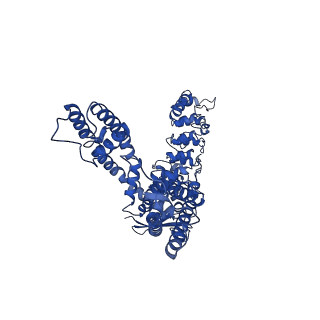 25717_7t6k_D_v1-1
Cryo-EM structure of TRPV5 at pH6 in nanodiscs