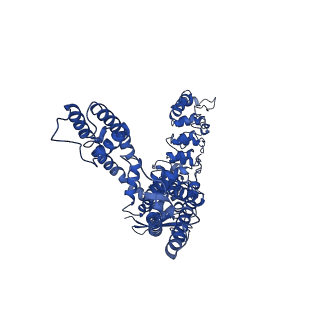 25717_7t6k_D_v1-2
Cryo-EM structure of TRPV5 at pH6 in nanodiscs