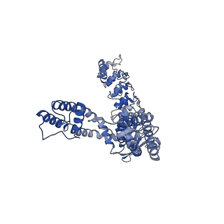 25718_7t6l_A_v1-1
Cryo-EM structure of TRPV5 at pH5 in nanodiscs