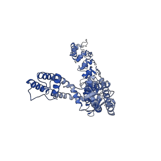 25718_7t6l_A_v1-2
Cryo-EM structure of TRPV5 at pH5 in nanodiscs