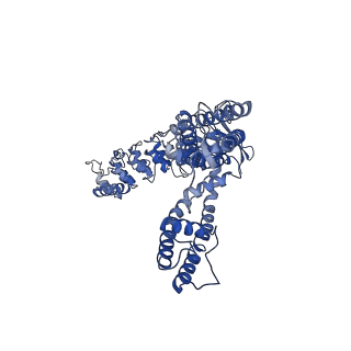 25718_7t6l_B_v1-1
Cryo-EM structure of TRPV5 at pH5 in nanodiscs