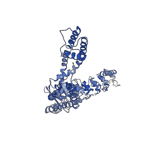 25718_7t6l_C_v1-1
Cryo-EM structure of TRPV5 at pH5 in nanodiscs