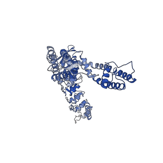 25718_7t6l_D_v1-1
Cryo-EM structure of TRPV5 at pH5 in nanodiscs