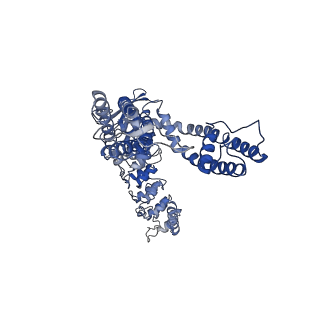 25718_7t6l_D_v1-2
Cryo-EM structure of TRPV5 at pH5 in nanodiscs