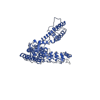 25719_7t6m_A_v1-2
Cryo-EM structure of TRPV5 in nanodiscs with PI(4,5)P2 at pH6 state 1