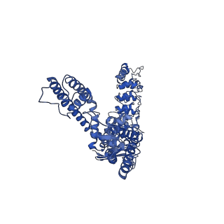 25719_7t6m_B_v1-2
Cryo-EM structure of TRPV5 in nanodiscs with PI(4,5)P2 at pH6 state 1