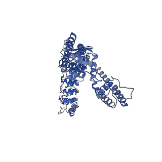 25719_7t6m_C_v1-1
Cryo-EM structure of TRPV5 in nanodiscs with PI(4,5)P2 at pH6 state 1