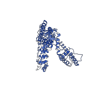 25719_7t6m_C_v1-2
Cryo-EM structure of TRPV5 in nanodiscs with PI(4,5)P2 at pH6 state 1