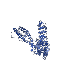 25720_7t6n_A_v1-1
Cryo-EM structure of TRPV5 in nanodiscs at pH6 state 2