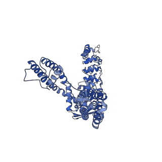 25720_7t6n_A_v1-2
Cryo-EM structure of TRPV5 in nanodiscs at pH6 state 2