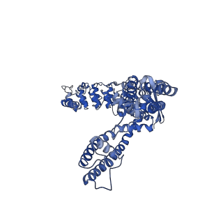 25720_7t6n_B_v1-1
Cryo-EM structure of TRPV5 in nanodiscs at pH6 state 2