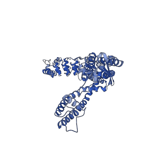 25720_7t6n_B_v1-2
Cryo-EM structure of TRPV5 in nanodiscs at pH6 state 2